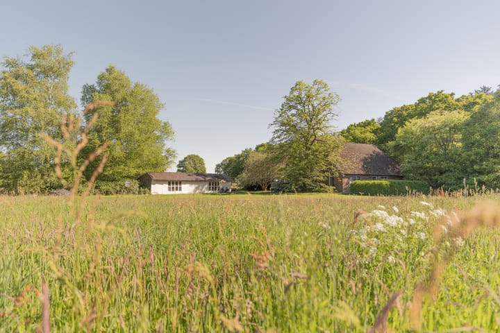 Foto van woning Hogestraat 3, Hall
