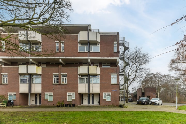 Hollandsch Diep 141 in Zaandam foto