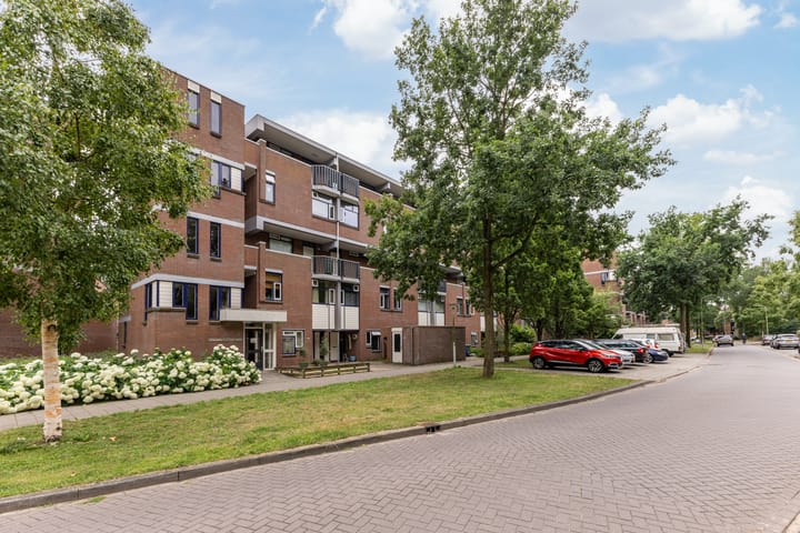 Hollandsch Diep 217 in Zaandam foto