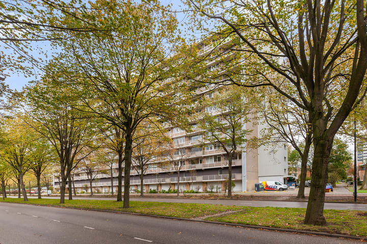 Holysingel 242 in Vlaardingen foto