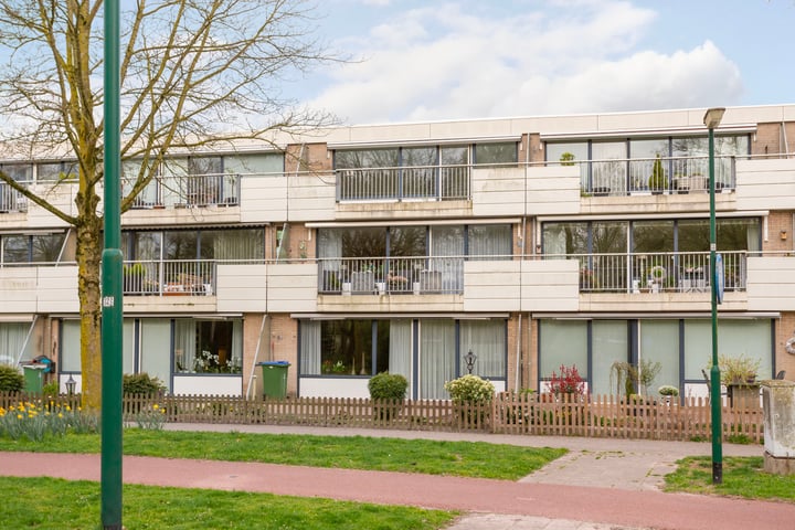 Homoet 5C in Veenendaal foto