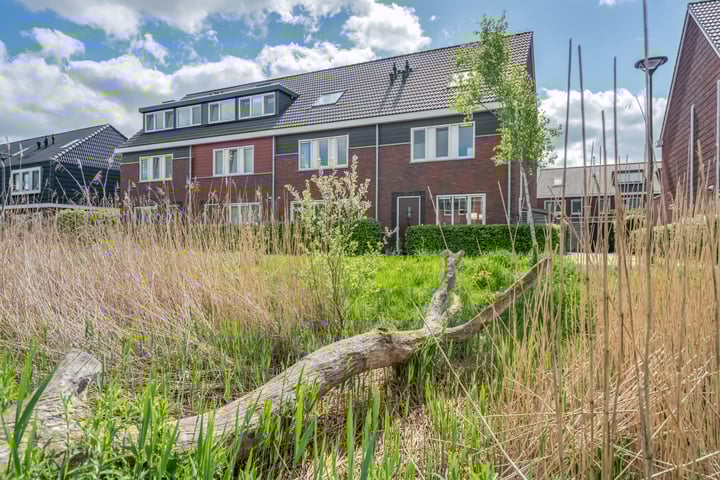 Honderdspint 9 in Haren Gn foto