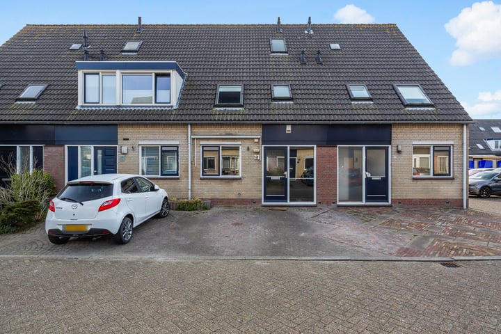 Hondsdraf 23 in Maasland foto