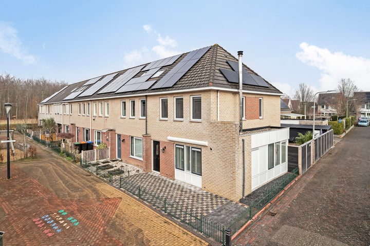 Hondsdraf 44 in Swifterbant foto