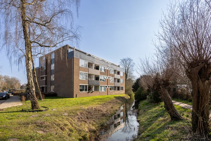 Hondsdraf 73 in Leusden foto
