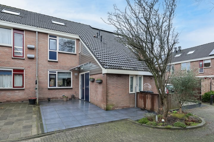 Hondsdrafzoom 2 in Leiderdorp foto