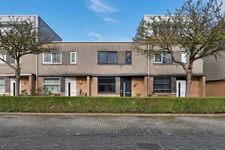 Hondskruid 12 in Katwijk foto