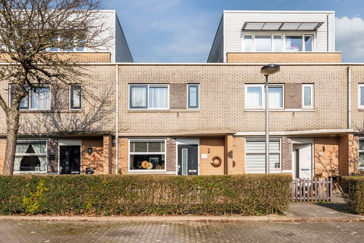 Hondskruid 6 in Katwijk foto