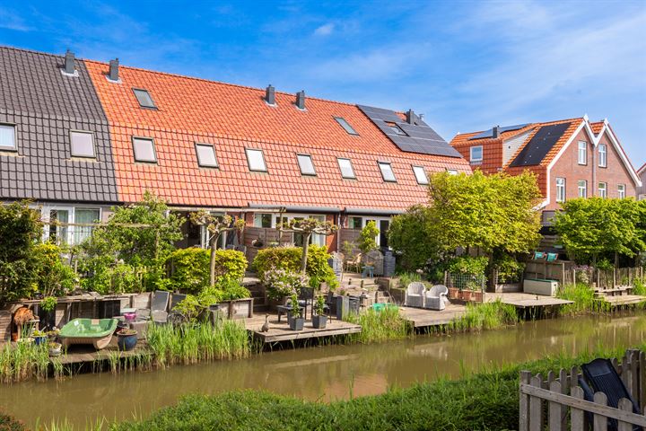 Hondsoor 4 in Sint Pancras foto