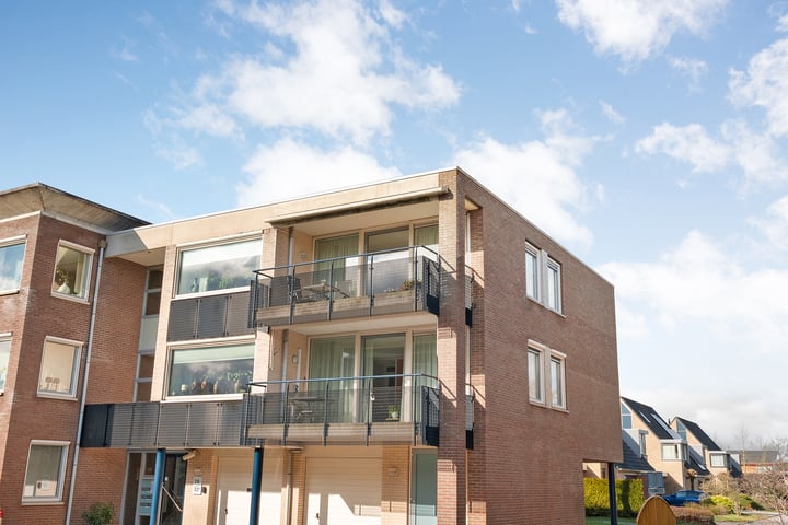 Hondsroos 32a in Dedemsvaart foto