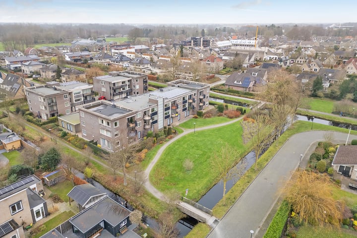 Hondsroos 8 in Dedemsvaart foto