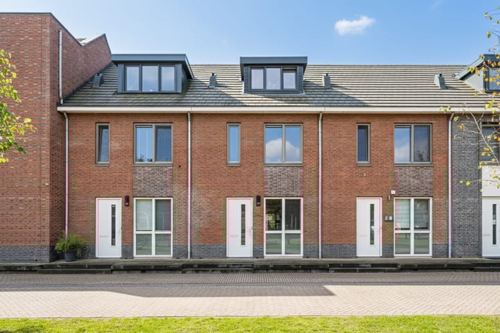 Honingbij 104 in Son en Breugel foto