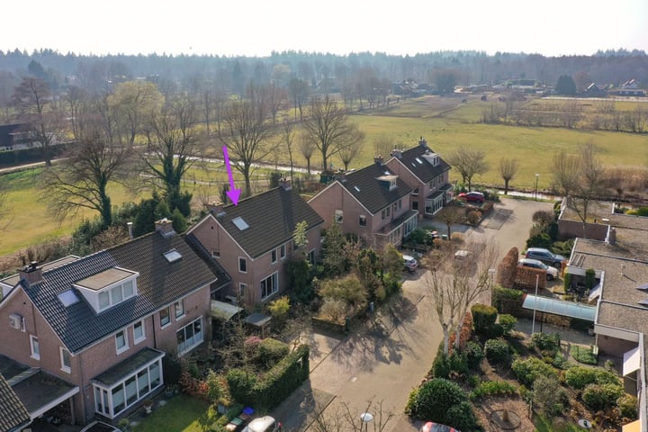 Honingbij 13 in Soest