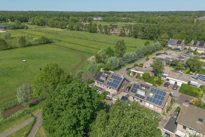 Honingbij 21 in Soest foto