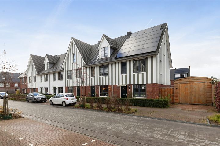 Honingbij 61 in Waddinxveen foto