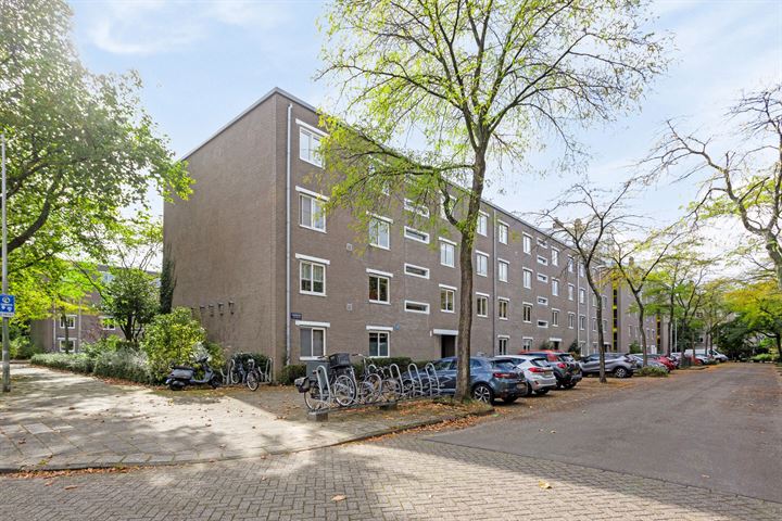 Honingen 2 in Amsterdam foto