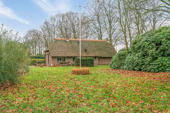 Honingvlaken 6 in Dwingeloo foto