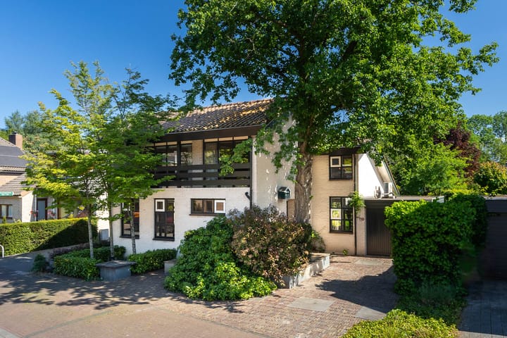 Honingzwam 110 in Alphen aan den Rijn foto