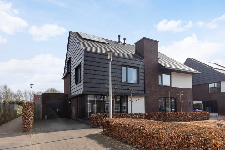Honingzwam 20 in Apeldoorn foto