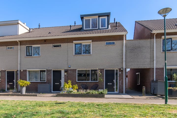 Honingzwam 35 in Veenendaal foto