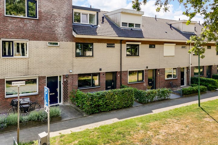 Honingzwam 49 in Veenendaal foto