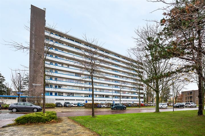 Honthorstlaan 136 in Alkmaar foto