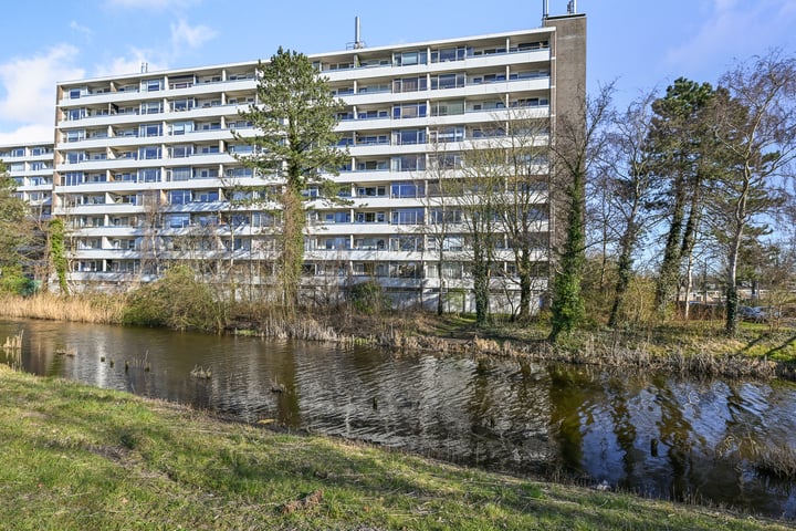 Honthorstlaan 376 in Alkmaar foto