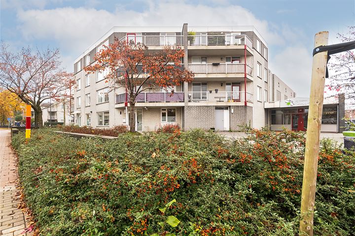 Hoogzoggel 80 in Uden foto