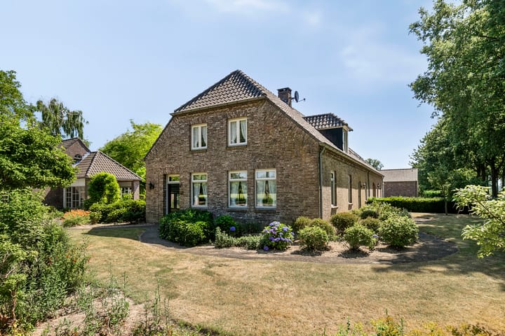 Hool 55 in Erp foto