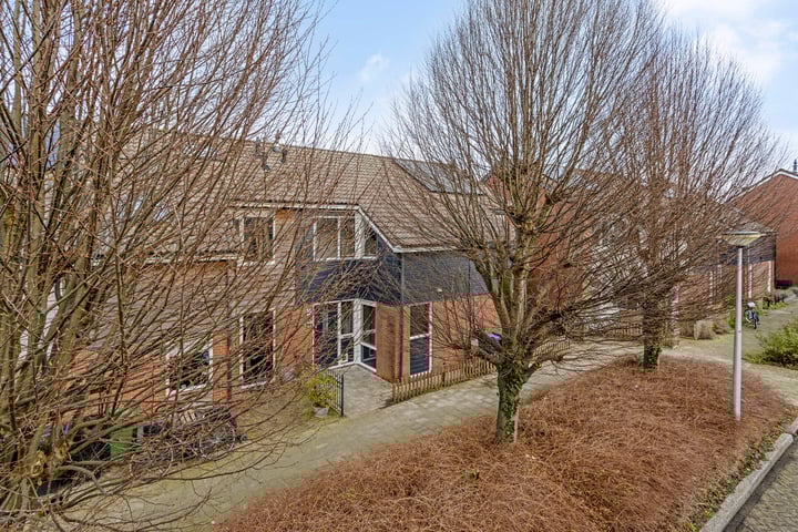 Hoornblad 8 in Bodegraven foto