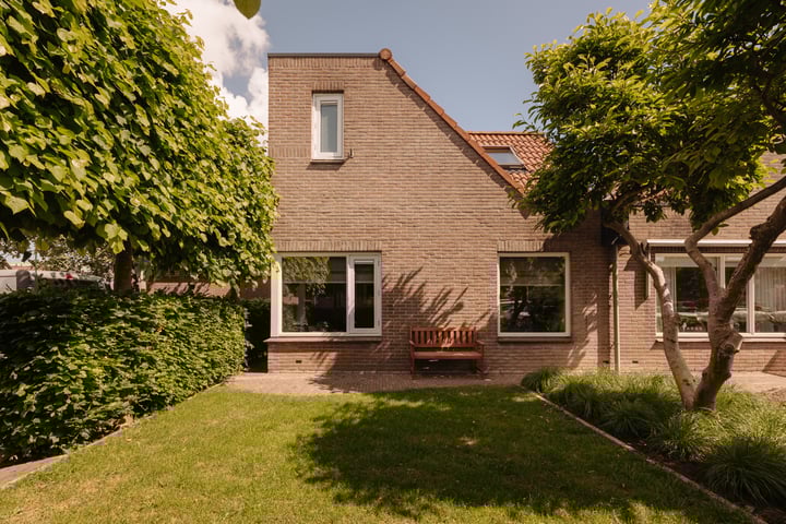 Hoornzwaluw 10 in Veenendaal foto