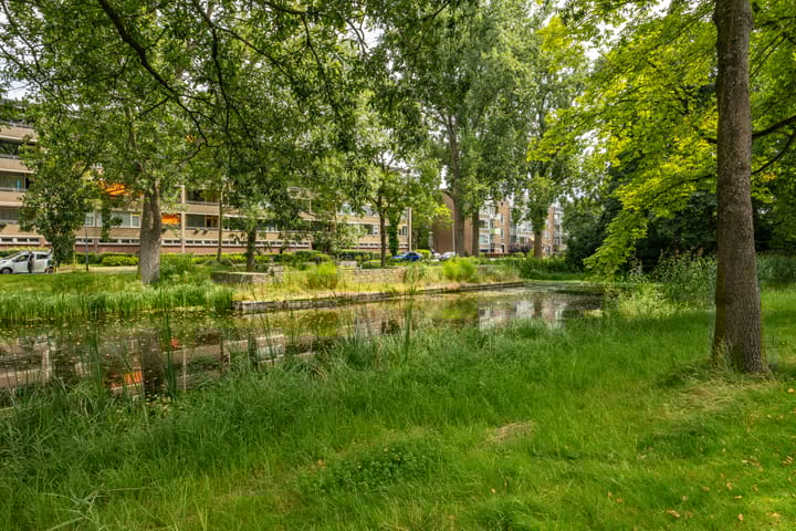 Hora Siccamasingel 135 in Groningen foto