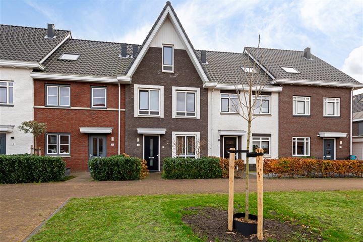 Horatius 5 in Noordwijkerhout foto