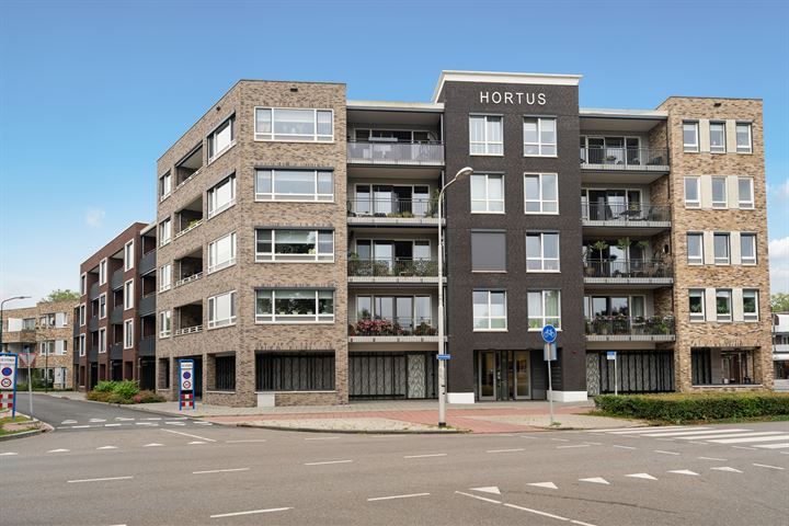 Hortus 46 in Wijk bij Duurstede foto
