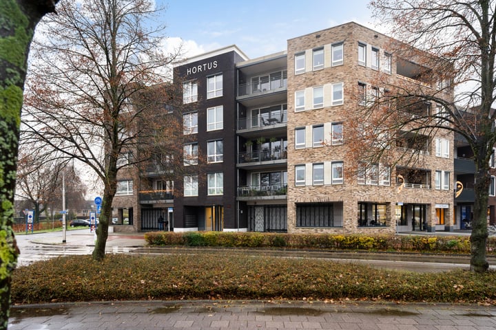 Hortus 66 in Wijk bij Duurstede foto