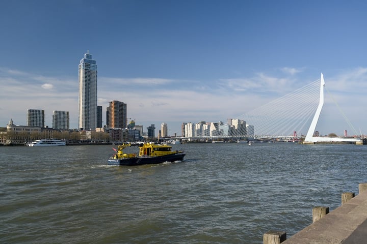 Houtlaan 425 in Rotterdam foto
