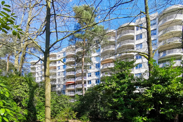 Hugo Verrieststraat 65 in Tilburg