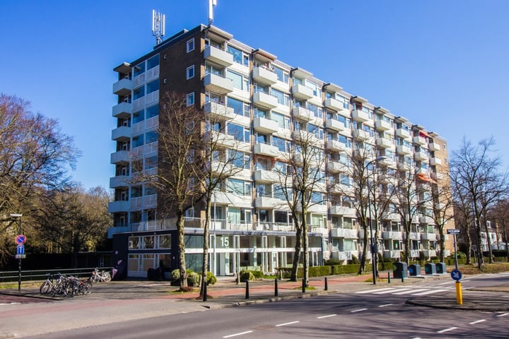 Huis te Landelaan 15-F502 in Rijswijk foto
