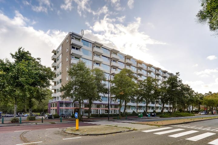 Huis te Landelaan 15-F703 in Rijswijk foto