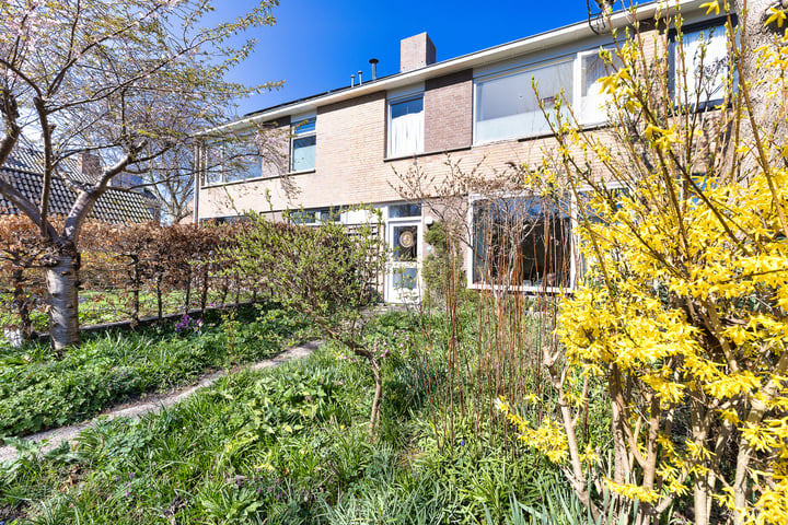 Hulstplantsoen 66 in Schoorl