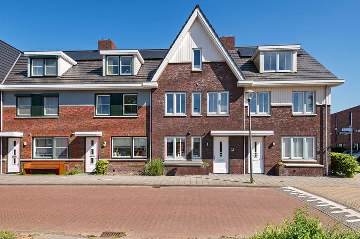 Hyacint 3 in Voorhout foto