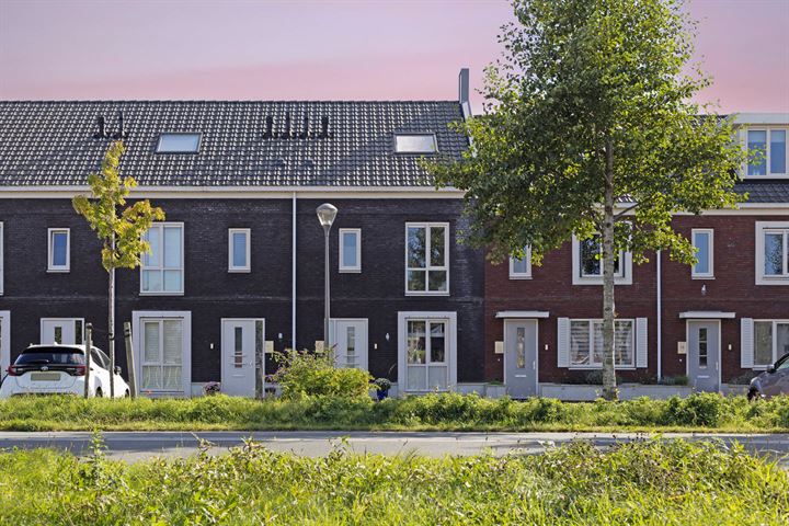 Hyacint 79 in Voorhout foto