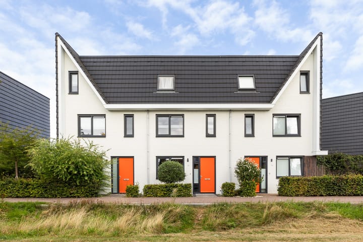Icarusblauwtje 98 in Apeldoorn foto