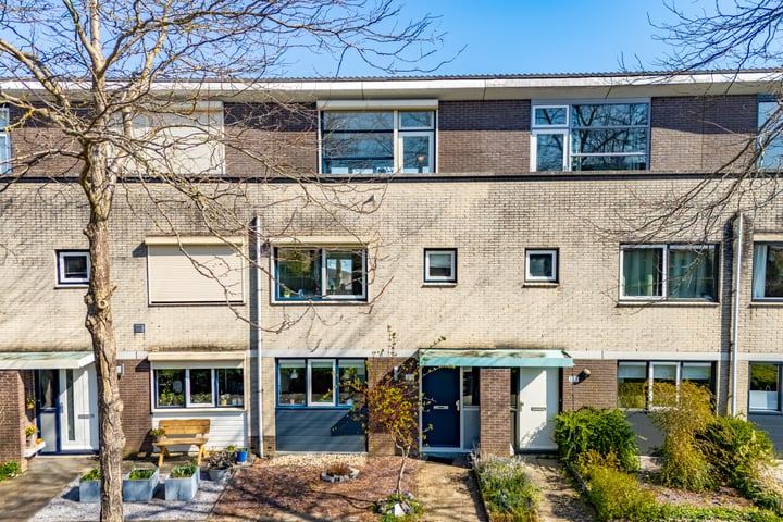 Ien Dalessingel 225 in Zutphen foto