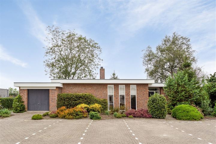 Iepelaar 2 in Someren foto