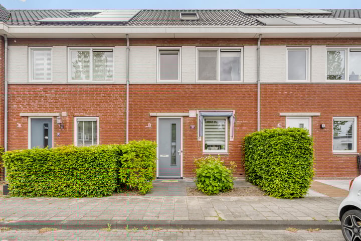 Iepenblad 10 in Oostvoorne foto