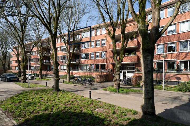 Iepenlaan 140 in Alkmaar foto