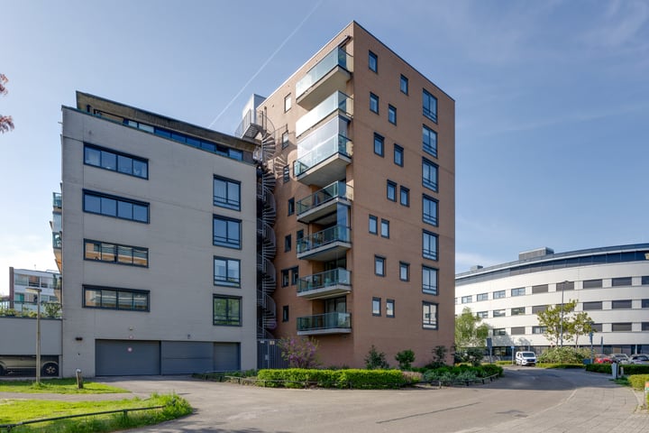 Iepstate 21 in Purmerend foto