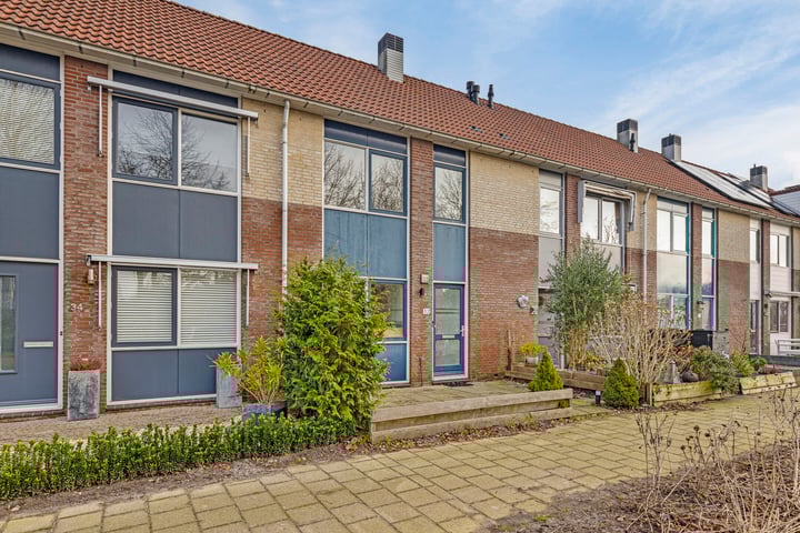 IJsbeer 32 in Heerhugowaard foto