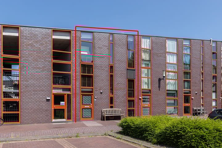 IJsbloem 1 in Papendrecht foto